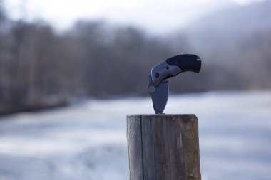 Ormandaki avcı hançeri. 