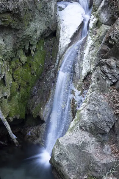 Yeşil ormandaki dere şelalesi