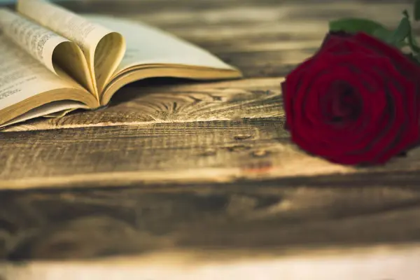 book and red rose in wooden background
