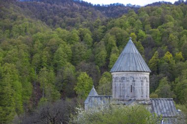 Antik Haghartsin Manastırı. Eski Hıristiyanlık kilisesi. Ermenistan