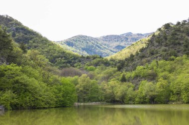 Dağ gölü ve çam ormanı. 