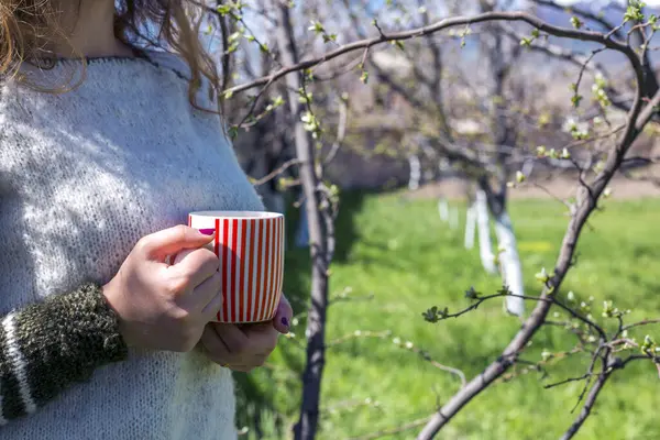 woman drinks morning coffee in spring blossoming garden.