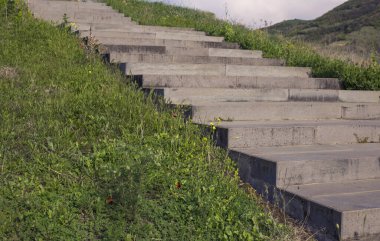 Kahverengi basamak küçük taş ve yeşil bitkili beton merdiven
