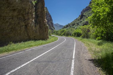 asfalt yol ve dağdaki ormandaki ağaçlar