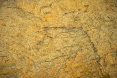 Altın Arkaplan veya Doku ve Gradyan Gölgesi