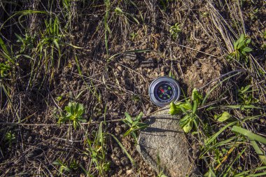 Ormandaki çimlerin üzerinde gezgin pusula