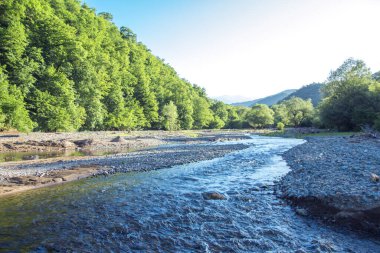 Orman Nehri üzerinde