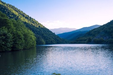 Ağaçların önündeki dağ gölünün yan görüntüsü