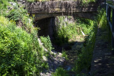 Ormandaki eski tarihi taş köprü