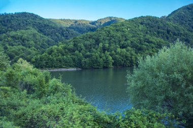 Orman gölünün kıyısındaki küçük ahşap iskele.