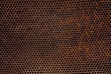 Altın desenli metal plaka