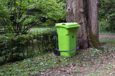 Ormandaki çöp tenekesi