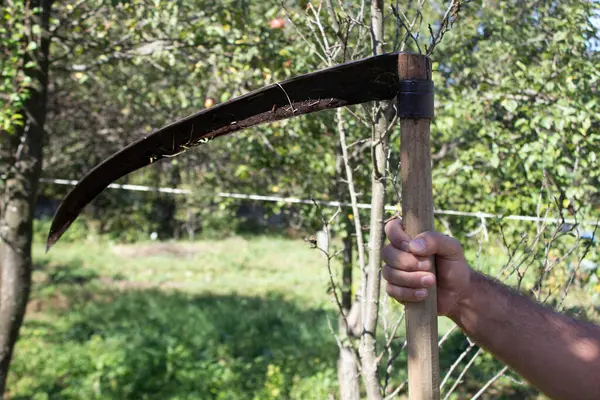 Siyah gömlekli, baltalı bir adam.