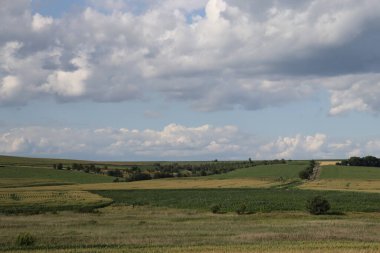 bulutlu gökyüzü mavi ve yeşil alan, yaz yatay