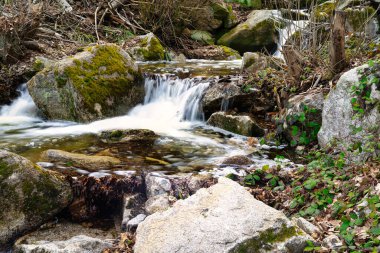 Baharda Thale yakınlarındaki Harz 'daki Wurmbach manzarası.
