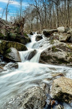 Baharda Thale yakınlarındaki Harz 'daki Wurmbach manzarası.