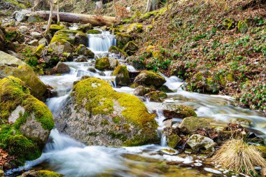 Baharda Thale yakınlarındaki Harz 'daki Wurmbach manzarası.