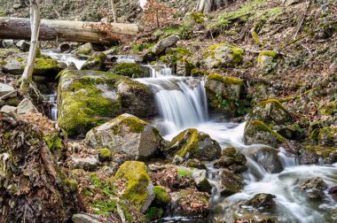 Baharda Thale yakınlarındaki Harz 'daki Wurmbach manzarası.
