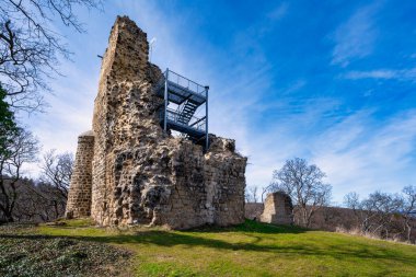 Lauenburg Kalesi 'nin baharda Harz dağlarındaki manzarası.