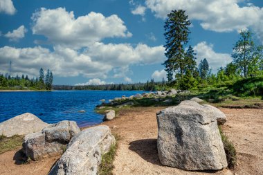 A view of the Oderteich in the Harz Mountains under a blue sky. clipart