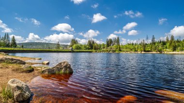 Harz Dağları 'ndaki Oderteich' in mavi gökyüzünün altındaki manzarası..