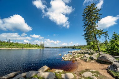 A view of the Oderteich in the Harz Mountains under a blue sky. clipart