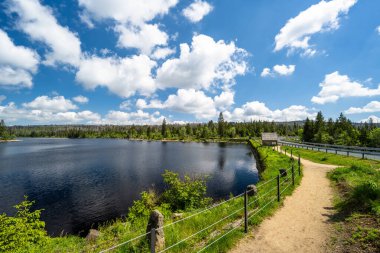 Harz Dağları 'ndaki Oderteich' in mavi gökyüzünün altındaki manzarası..