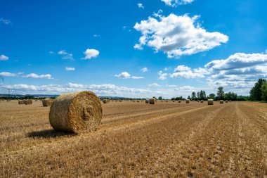 Mavi gökyüzünün altında saman balyaları olan bir tarla manzarası