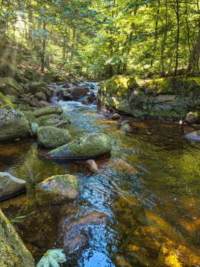 Almanya 'daki Harz Dağları' ndaki Ilse nehrinin şelalesinin manzarası.