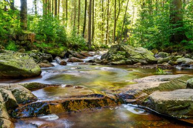 Almanya 'daki Harz Dağları' ndaki Ilse nehrinin şelalesinin manzarası.