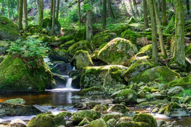 Almanya 'daki Harz Dağları' ndaki Ilse nehrinin şelalesinin manzarası.