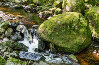 Almanya 'daki Harz Dağları' ndaki Ilse nehrinin şelalesinin manzarası.