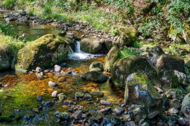 Almanya 'daki Harz Dağları' ndaki Ilse nehrinin şelalesinin manzarası.