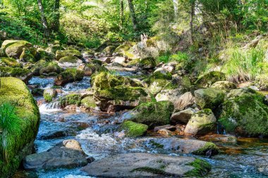 Almanya 'daki Harz Dağları' ndaki Ilse nehrinin şelalesinin manzarası.