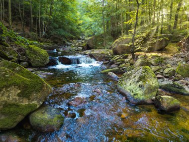 Almanya 'daki Harz Dağları' ndaki Ilse nehrinin şelalesinin manzarası.