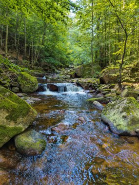 Almanya 'daki Harz Dağları' ndaki Ilse nehrinin şelalesinin manzarası.