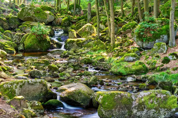 Almanya 'daki Harz Dağları' ndaki Ilse nehrinin şelalesinin manzarası.