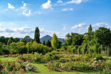 Sangerhausen 'deki Rosarium manzarası. Arka planda kuyu çöplüğü var.