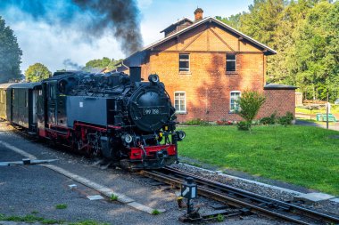 Bertsdorf 'taki Saksonya Eyaleti' nin dar ölçülü demiryolu manzarası