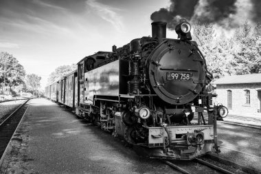 Bertsdorf 'taki Saksonya Eyaleti' nin dar ölçülü demiryolu manzarası