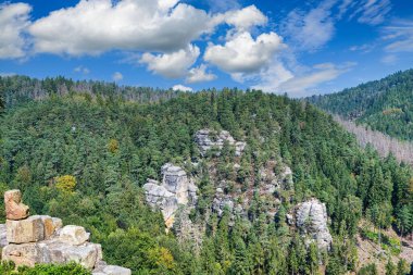 Saksonya 'daki Oybin Manastırı' nın kalıntılarından bir manzara.