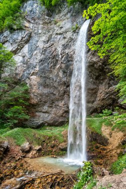 Avusturya 'nın Gallizien kentindeki Wildenstein şelalesinin manzarası