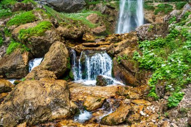 Avusturya 'nın Gallizien kentindeki Wildenstein şelalesinin manzarası