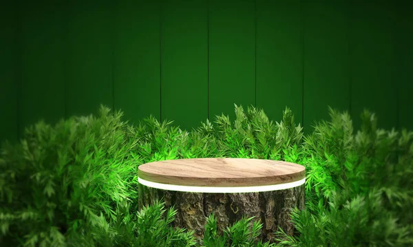 empty wooden table in the forest background. product display.