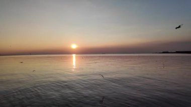 Kamera yavaş çekim 4K. Kış akşamı Bang Pu Dinlenme Merkezi, Tayland 'da deniz kenarında uçan martı sürüsü. Popüler sahil doğal cazibeleri