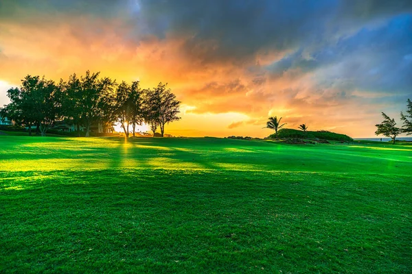 Maui, Hawaii, ABD 'de golf sahasında gün batımı