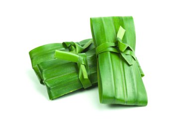 (Pandanus amiaryllifolius) Taze yeşil pandan yaprakları beyaz arka planda katlanmış ve bağlanmış. Kokulu kokulu doğal bitkiler genellikle yiyecek, pasta ve içecek olarak kullanılır..