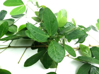 Siyah boncukların yakın plan fotoğrafı beyaz arkaplanda izole edilmiş.