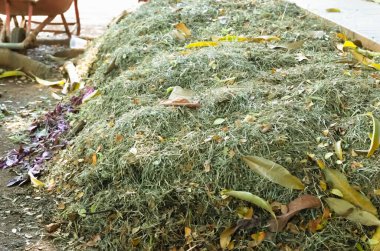 Ağaçlardan düşen öğütülmüş çimenler ve kuru yapraklar yatakları gübrelemek için kullanılır. Düşen yapraklar gübre haline gelir..
