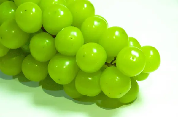 Beyaza izole edilmiş taze yeşil üzümler. depo fotoğrafı